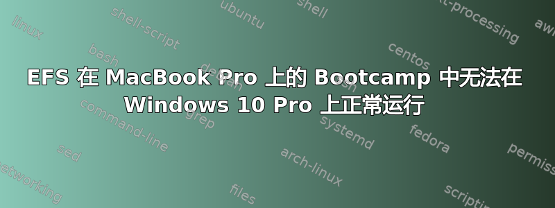 EFS 在 MacBook Pro 上的 Bootcamp 中无法在 Windows 10 Pro 上正常运行