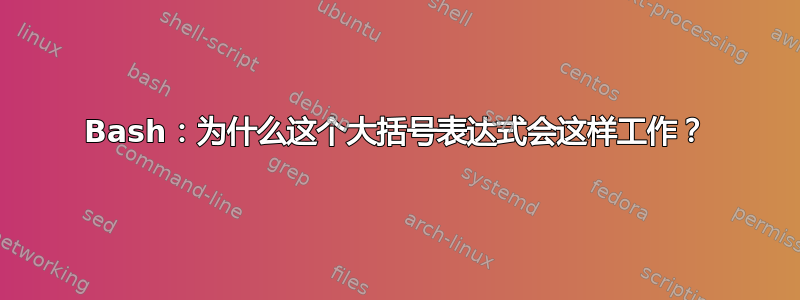 Bash：为什么这个大括号表达式会这样工作？