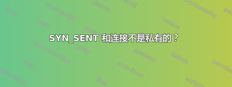 SYN_SENT 和连接不是私有的？