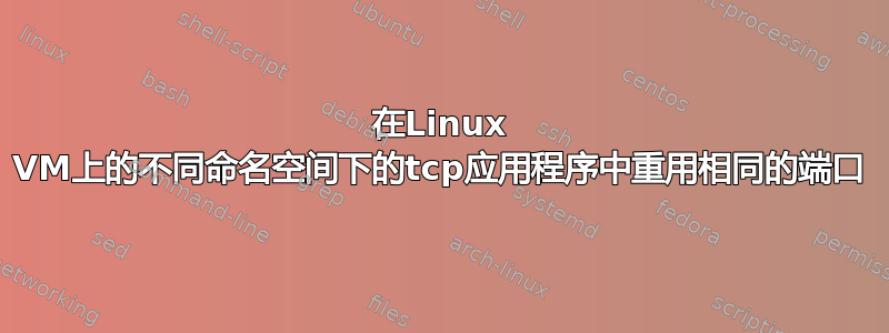 在Linux VM上的不同命名空间下的tcp应用程序中重用相同的端口