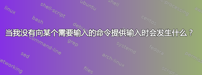 当我没有向某个需要输入的命令提供输入时会发生什么？