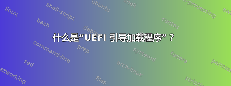 什么是“UEFI 引导加载程序”？