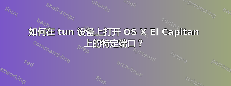 如何在 tun 设备上打开 OS X El Capitan 上的特定端口？