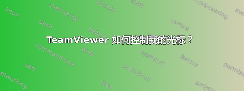 TeamViewer 如何控制我的光标？