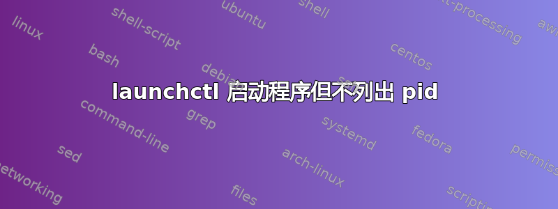 launchctl 启动程序但不列出 pid