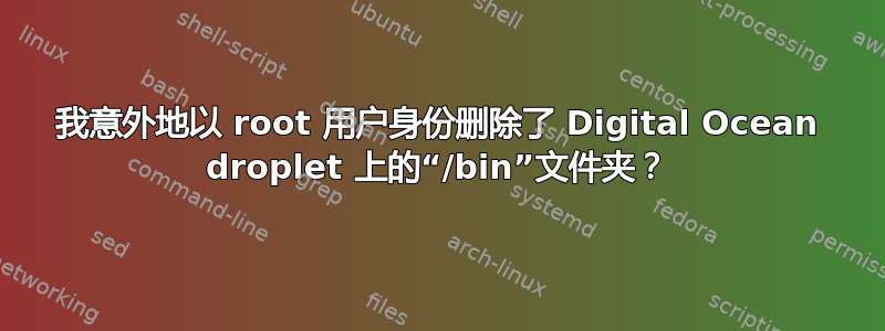 我意外地以 root 用户身份删除了 Digital Ocean droplet 上的“/bin”文件夹？