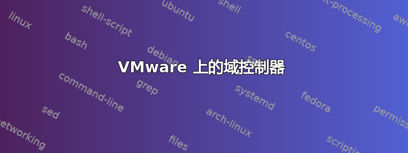 VMware 上的域控制器