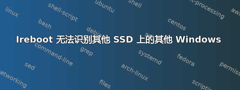 Ireboot 无法识别其他 SSD 上的其他 Windows