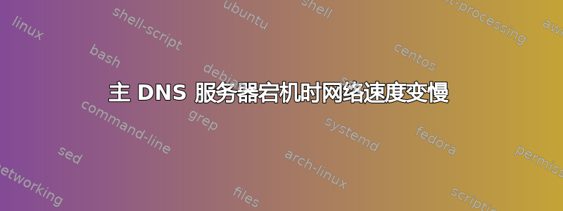 主 DNS 服务器宕机时网络速度变慢