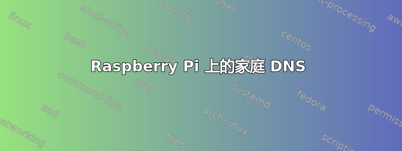 Raspberry Pi 上的家庭 DNS