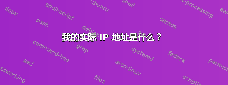 我的实际 IP 地址是什么？