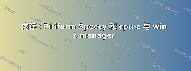 内存：Piriform Speccy 和 cpu-z 与 win t.manager