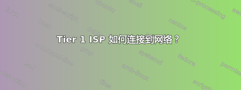 Tier 1 ISP 如何连接到网络？