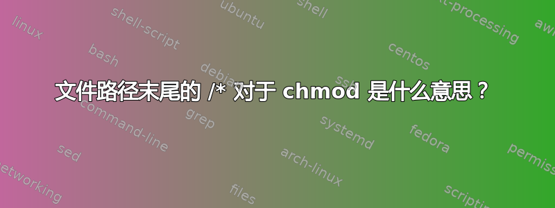 文件路径末尾的 /* 对于 chmod 是什么意思？