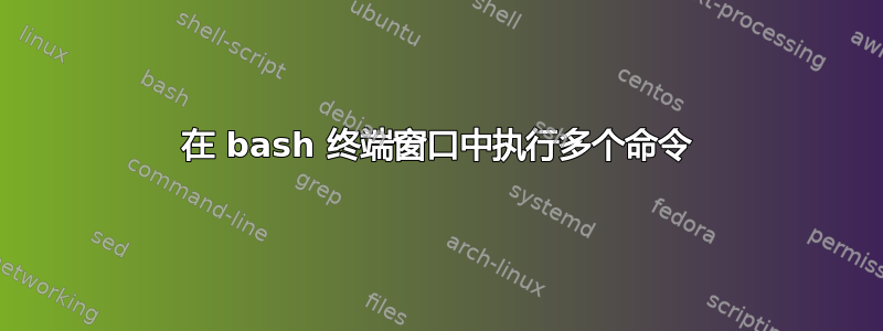 在 bash 终端窗口中执行多个命令