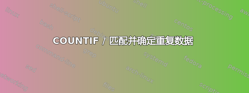 COUNTIF / 匹配并确定重复数据