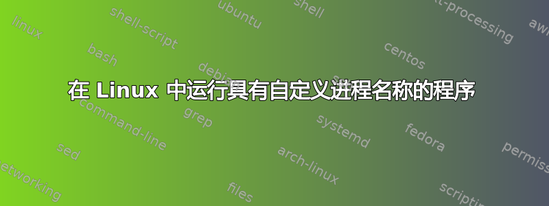 在 Linux 中运行具有自定义进程名称的程序