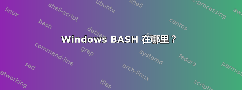 Windows BASH 在哪里？