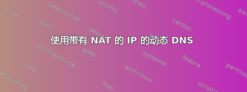 使用带有 NAT 的 IP 的动态 DNS