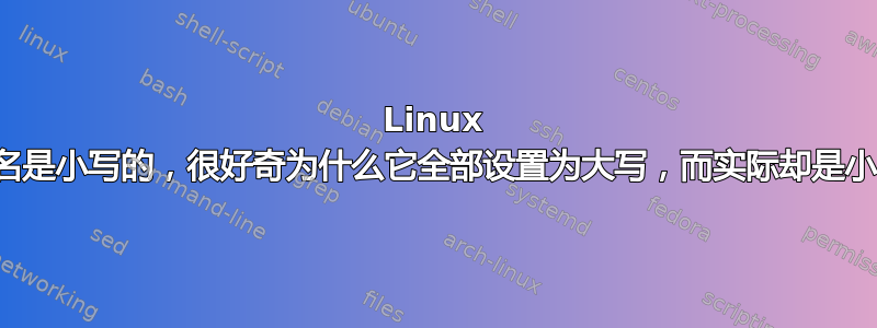 Linux 主机名是小写的，很好奇为什么它全部设置为大写，而实际却是小写。