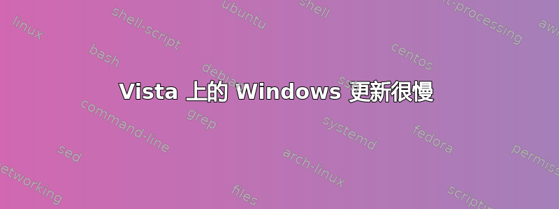 Vista 上的 Windows 更新很慢