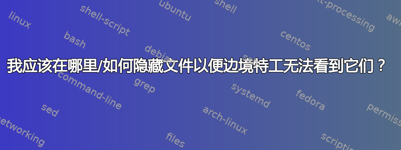 我应该在哪里/如何隐藏文件以便边境特工无法看到它们？