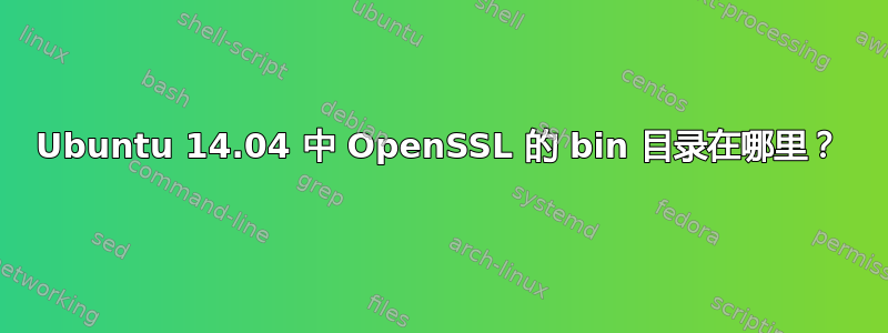 Ubuntu 14.04 中 OpenSSL 的 bin 目录在哪里？