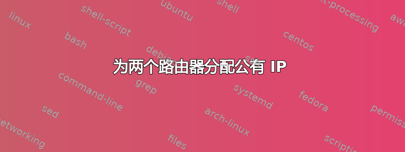 为两个路由器分配公有 IP