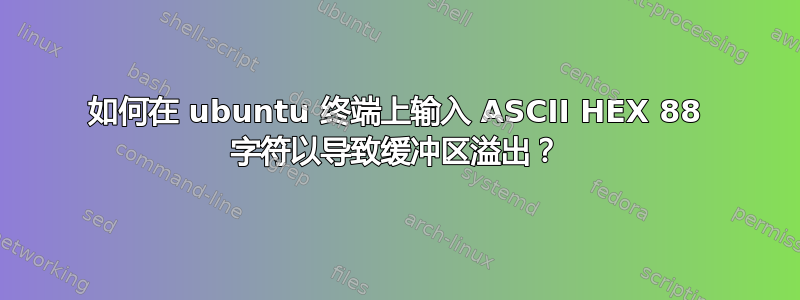 如何在 ubuntu 终端上输入 ASCII HEX 88 字符以导致缓冲区溢出？