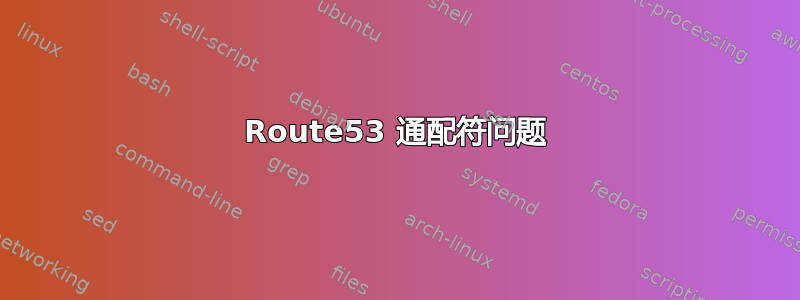 Route53 通配符问题