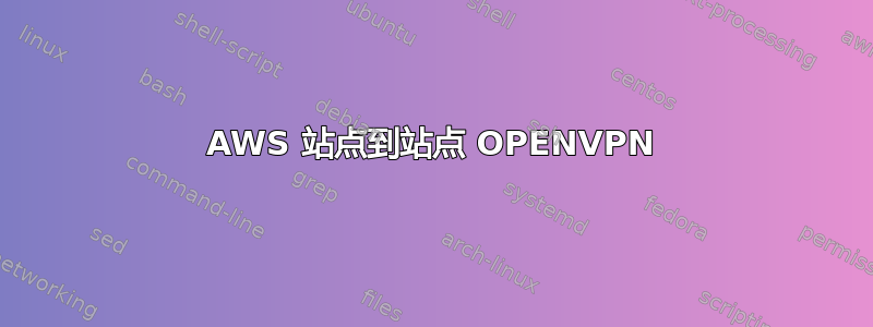 AWS 站点到站点 OPENVPN