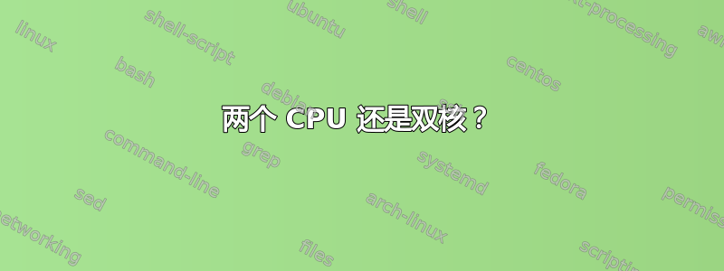 两个 CPU 还是双核？