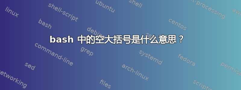 bash 中的空大括号是什么意思？ 