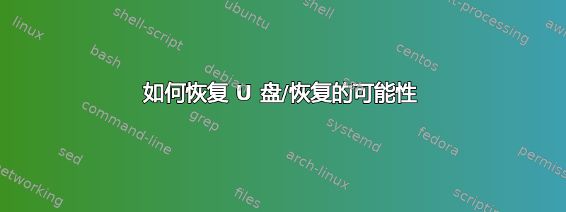 如何恢复 U 盘/恢复的可能性