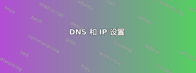 DNS 和 IP 设置