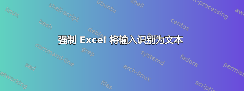 强制 Excel 将输入识别为文本