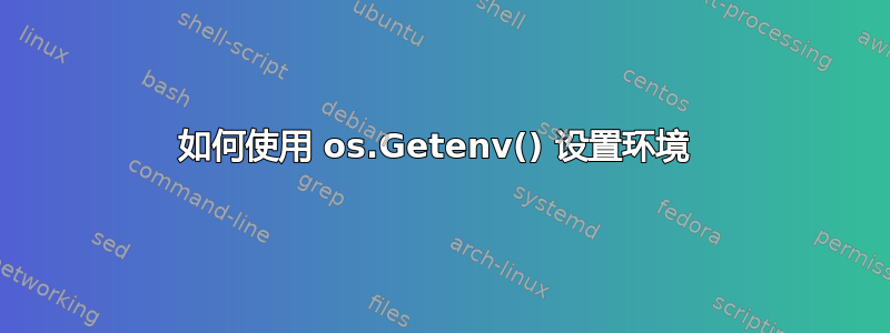 如何使用 os.Getenv() 设置环境 