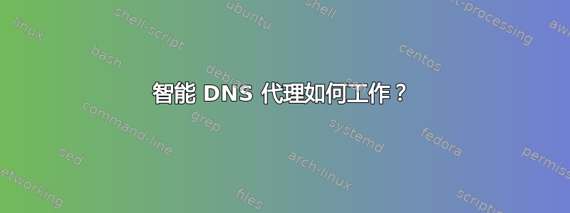 智能 DNS 代理如何工作？