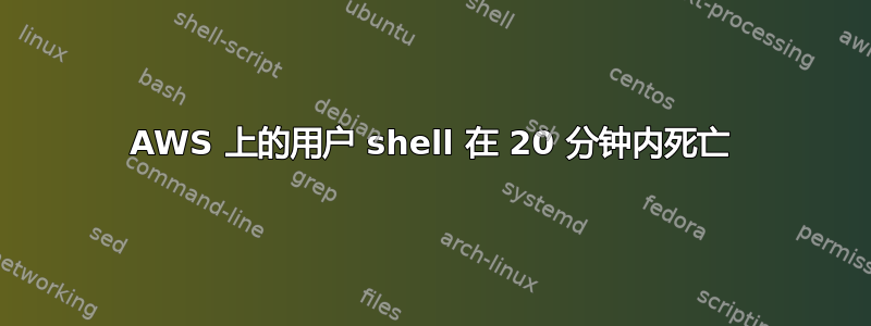 AWS 上的用户 shell 在 20 分钟内死亡