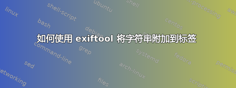 如何使用 exiftool 将字符串附加到标签