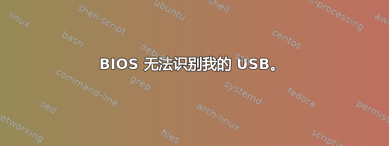 BIOS 无法识别我的 USB。