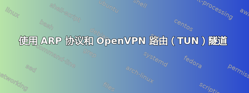 使用 ARP 协议和 OpenVPN 路由（TUN）隧道