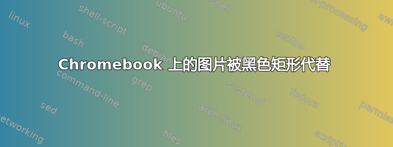 Chromebook 上的图片被黑色矩形代替