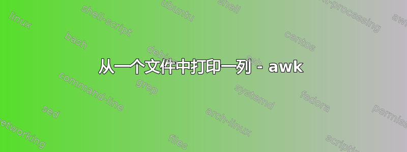 从一个文件中打印一列 - awk