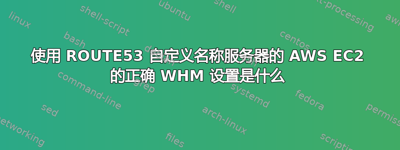 使用 ROUTE53 自定义名称服务器的 AWS EC2 的正确 WHM 设置是什么