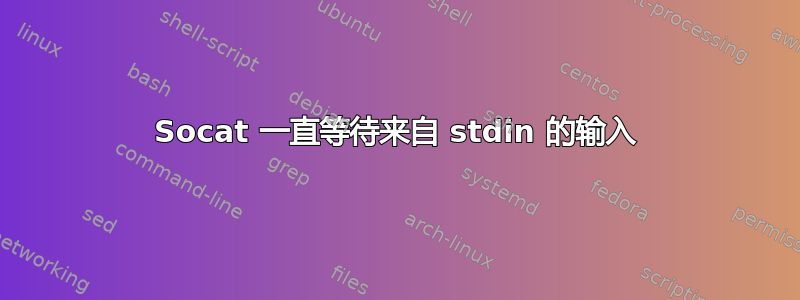 Socat 一直等待来自 stdin 的输入