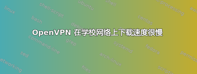 OpenVPN 在学校网络上下载速度很慢