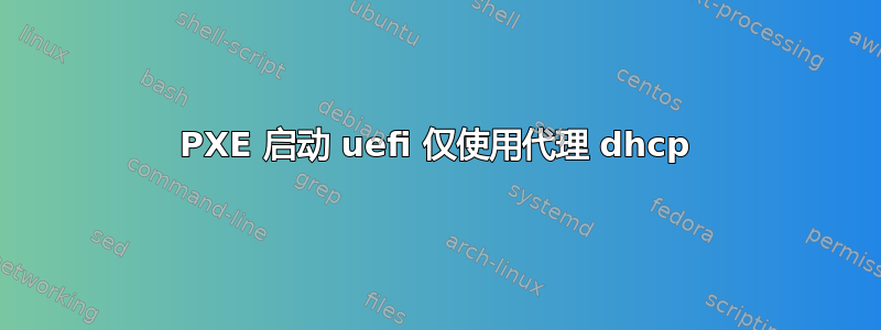 PXE 启动 uefi 仅使用代理 dhcp