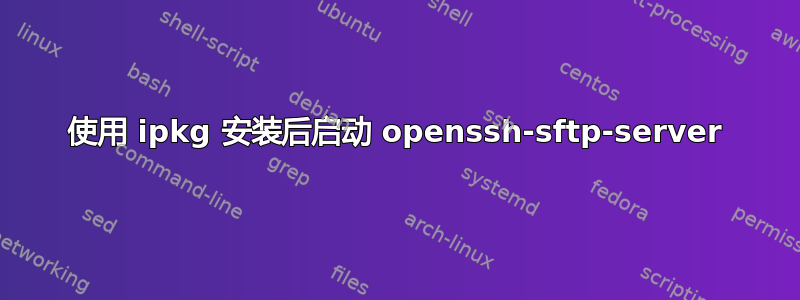 使用 ipkg 安装后启动 openssh-sftp-server