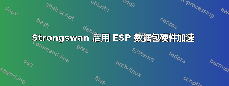 Strongswan 启用 ESP 数据包硬件加速